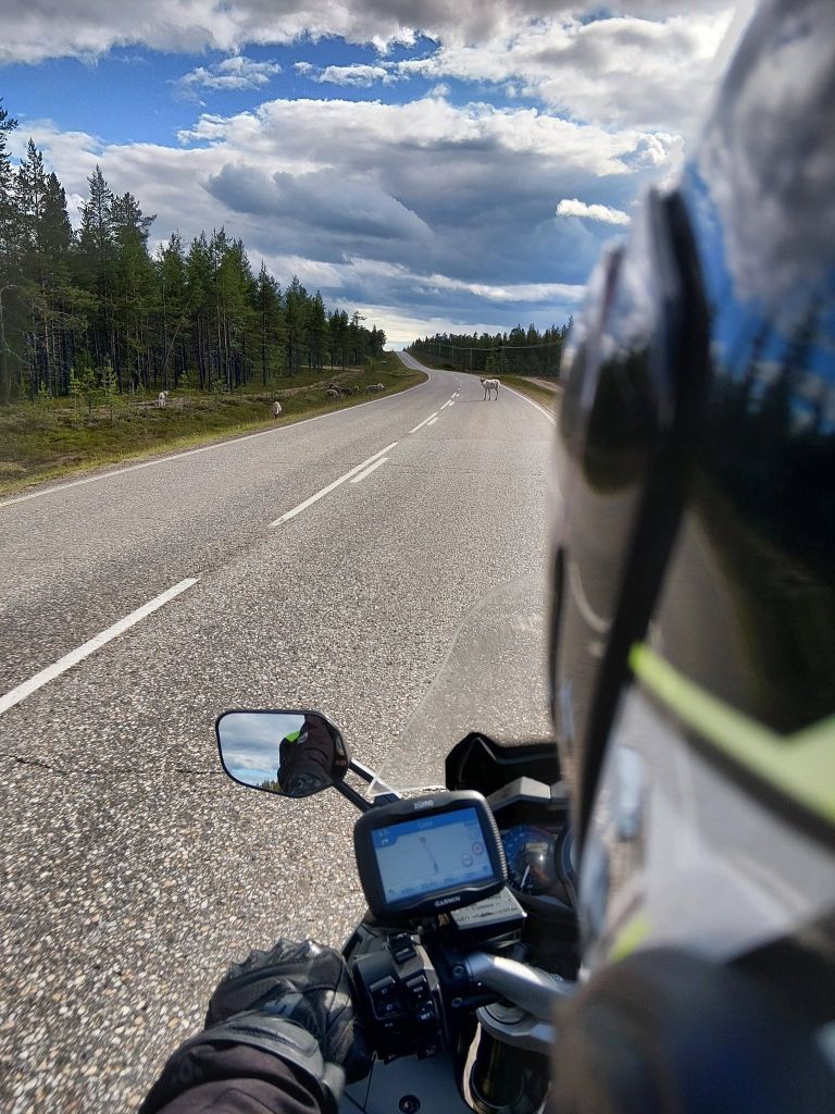 stanko-stotl, nordkapp, norveska