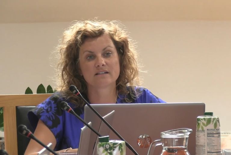 ines magdič, občina puconci