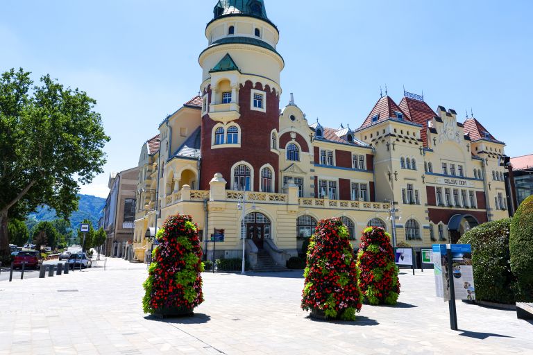 zelenice