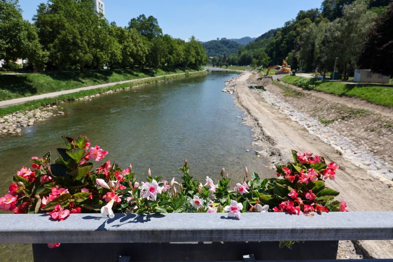 zelenice 1 (4).jpg