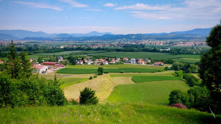 Fotka Migojnice-1.jpg