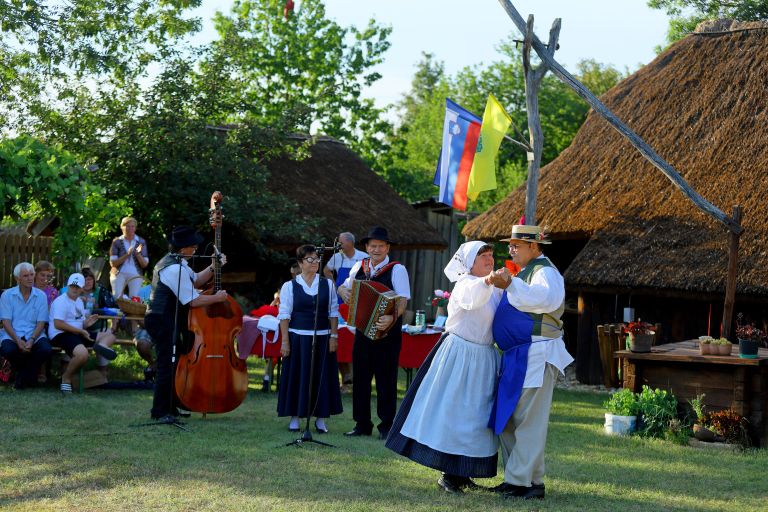 cg_dominkova_domacija_3.jpg