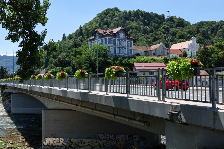 zelenice 1 (2).jpg