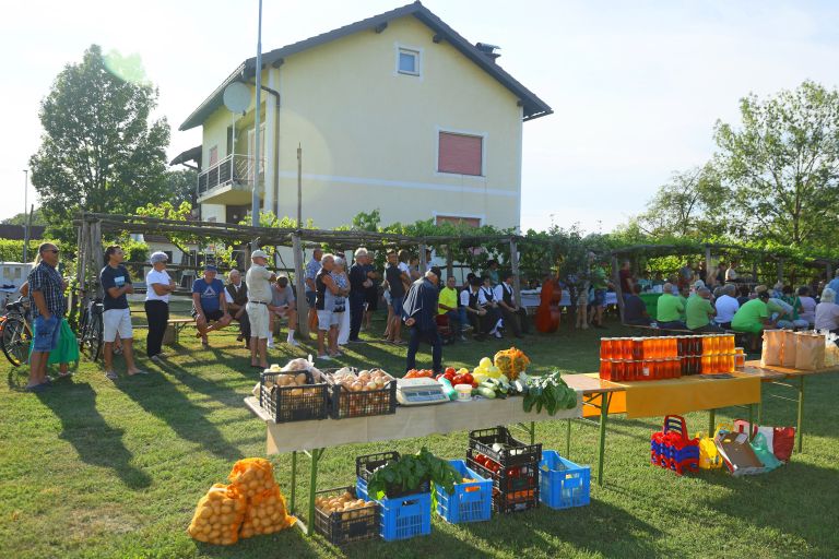 cg_dominkova_domacija_6.jpg