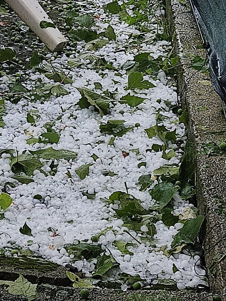neurje, vreme, toca, veter, nevsecnosti