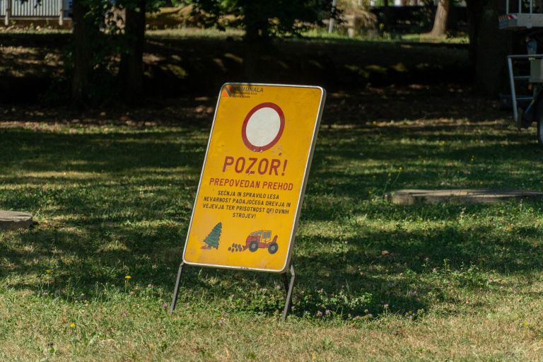 odstranjevanje-gnezd-poljskih-vran, vrane, mestni-park-murska-sobota