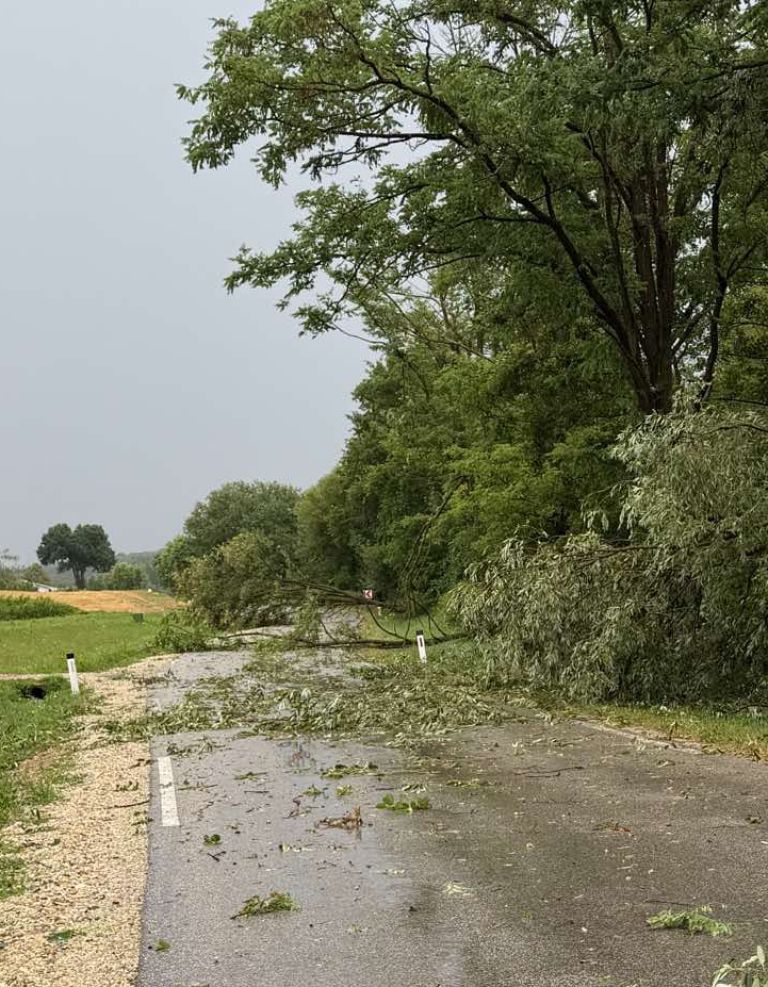 neurje, nevihta, pomurje