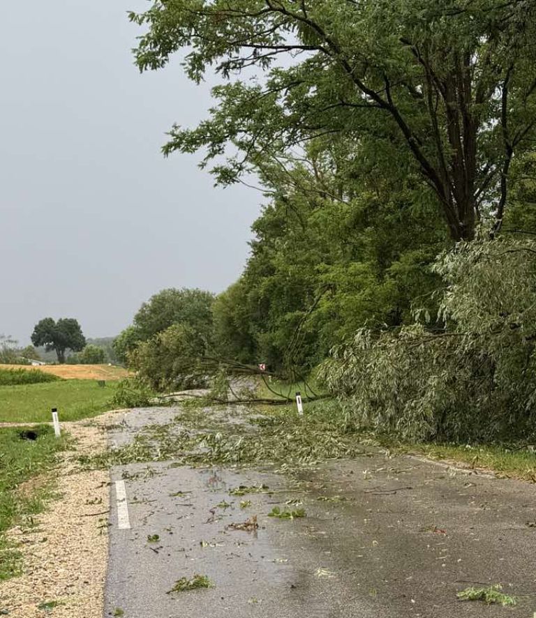 neurje, nevihta, pomurje