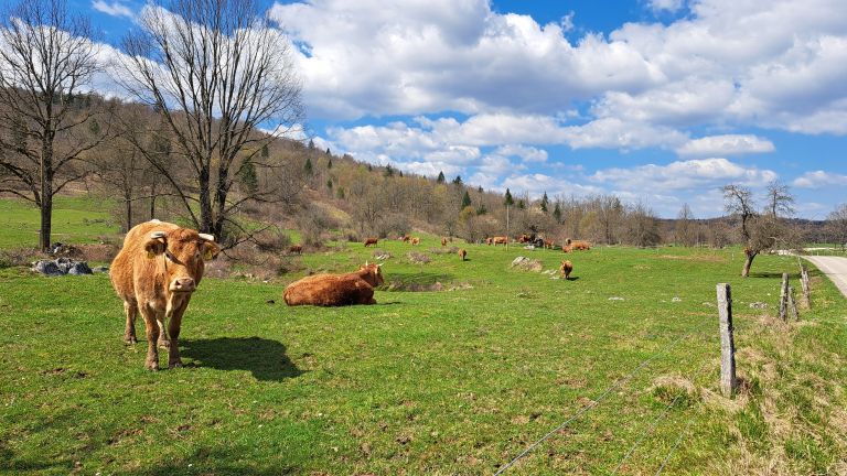 Sklad kmetijskih zemljišč in gozdov