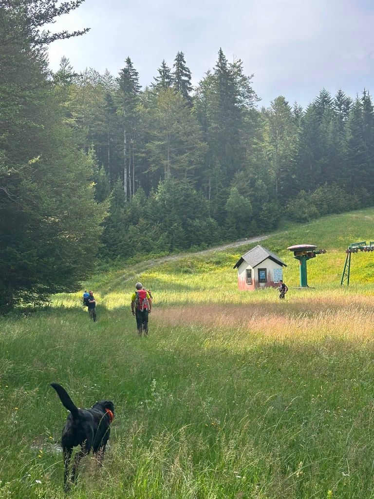 sneznik, iskalna-akcija