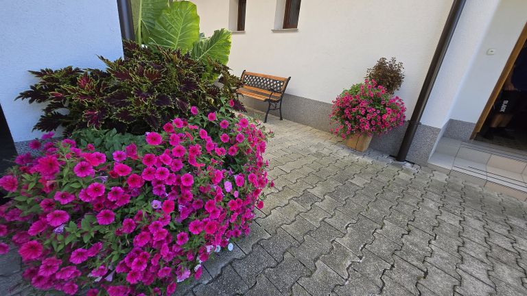 cvetje