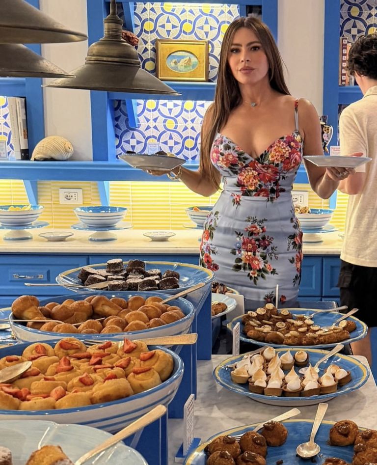 sofia vergara 1.jpg