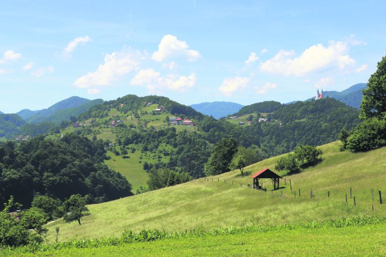 susa, koruza, kmetijstvo, pridelki