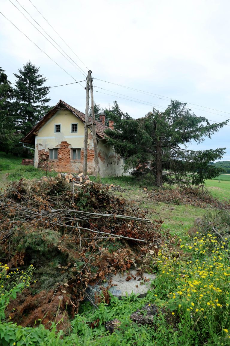 krrava, marija, akcija