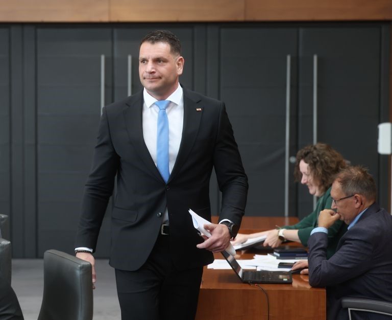 zoran stevanovic, državni zbor