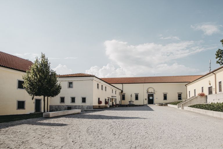 Kobilarna Lipica 3