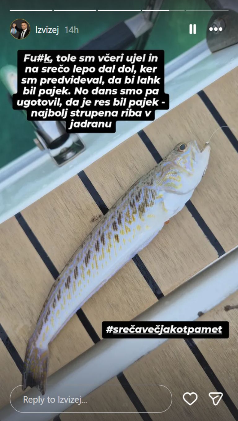 Luka Žvižej, riba.png