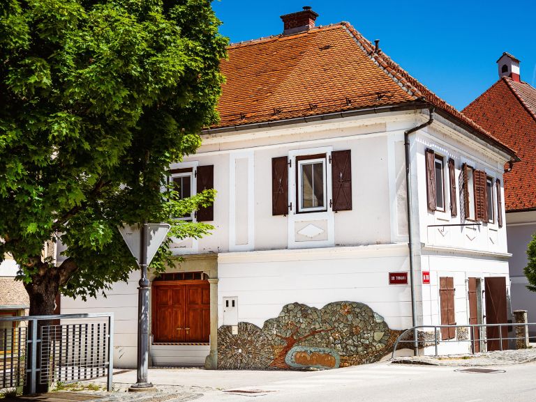 mojca-cernivsek
