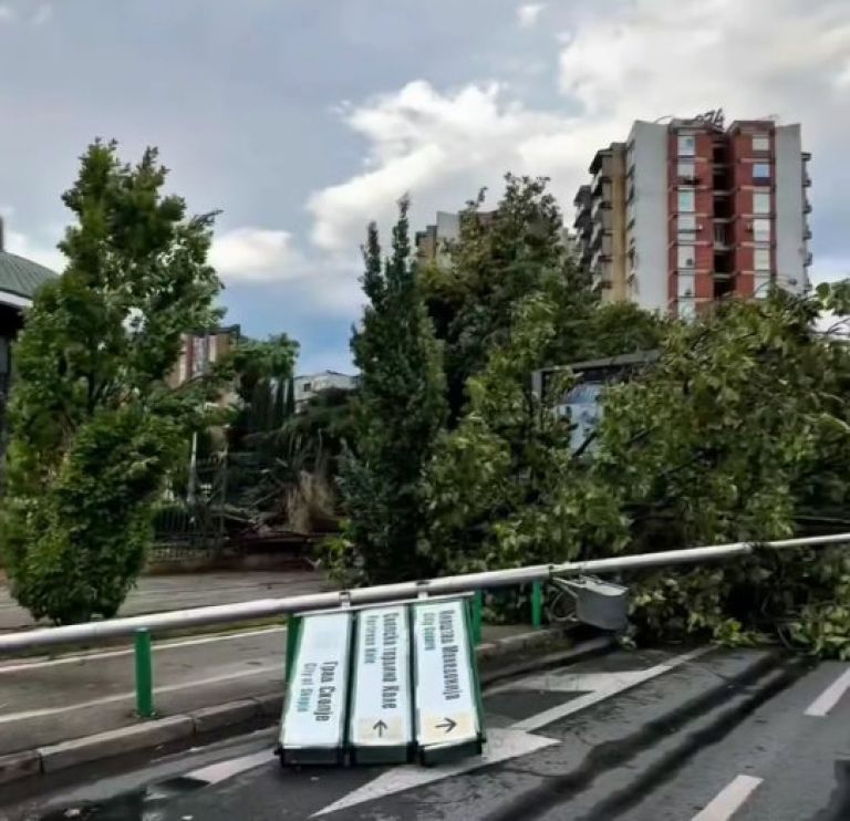 podrto drevo prometni znak neurje