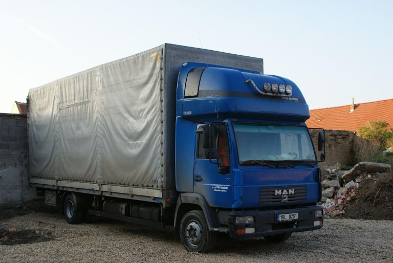 renatao-truck-2556020_1920.jpg