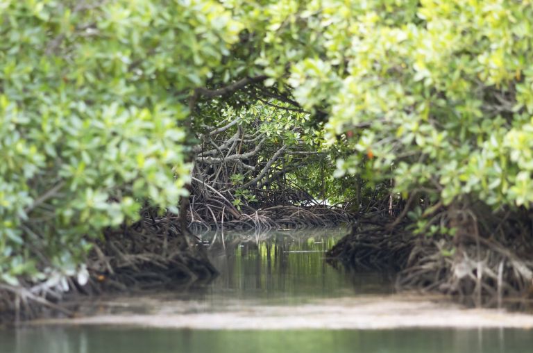 Ile d’Ambre mauritius
