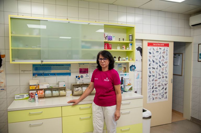 veterinarka-nastja-jagličić-korpič, veterinarka