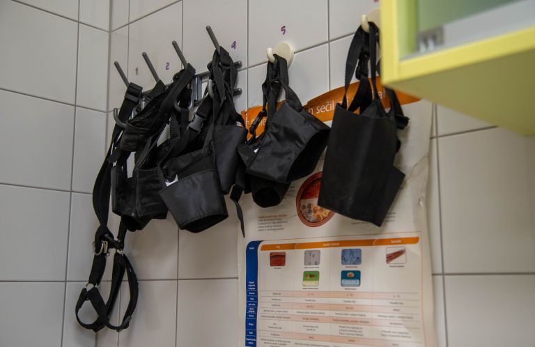 veterinaria-murska-sobota, veterinar, veterina, simbolična, živali, psi, pes, mačka, mačke, mački