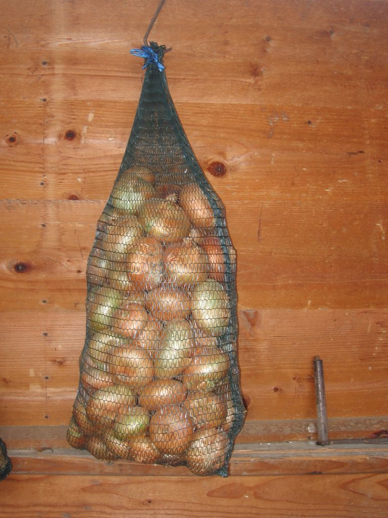 Miša2.JPG