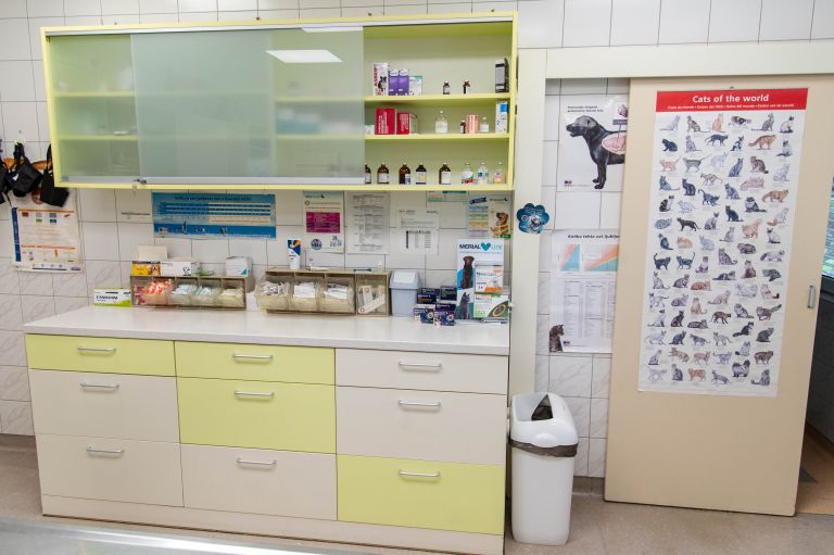 veterinaria-murska-sobota, veterinar, veterina, simbolična, živali, psi, pes, mačka, mačke, mački