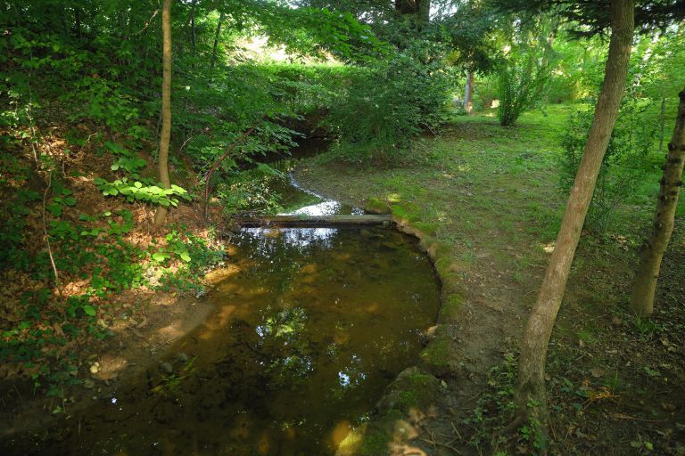 cg_solovjev_park_3.jpg