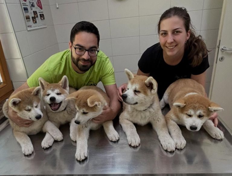 belokranjska_veterinarska_sluzba.jpg
