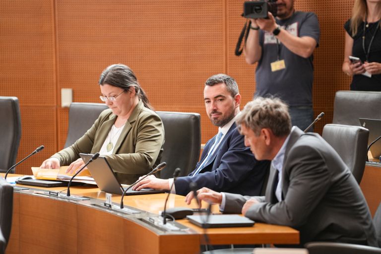 kokot todorovic storek jk.jpg