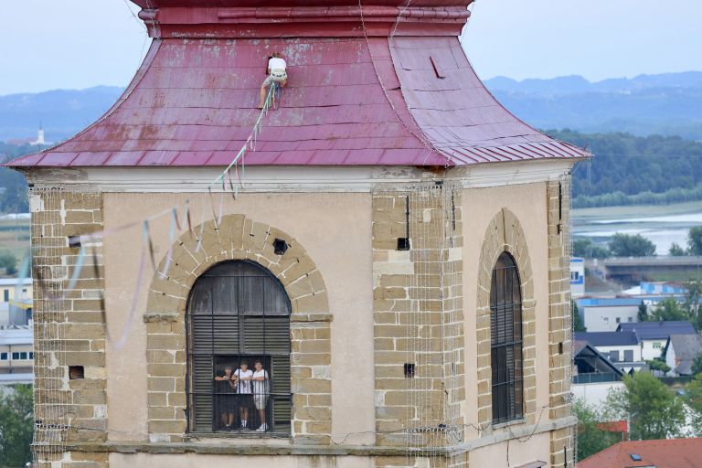vrvohodec, vrvohodec-ptuj