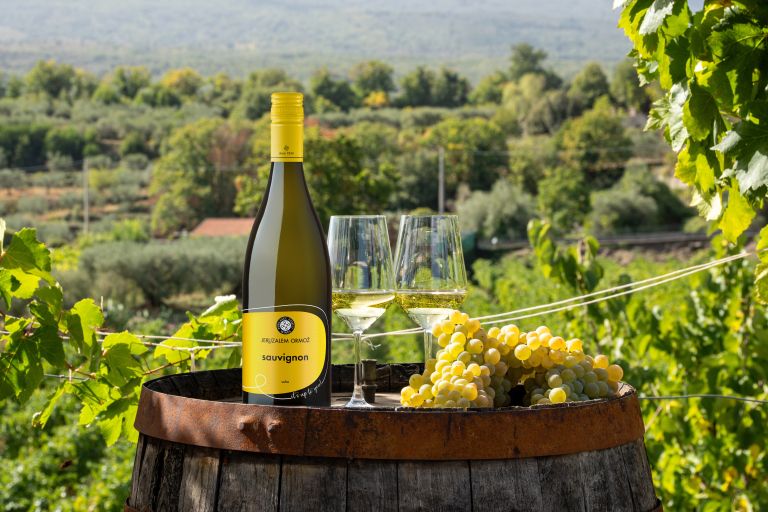 puklavec-family-wines, vina-puklavec, vino, puklavec