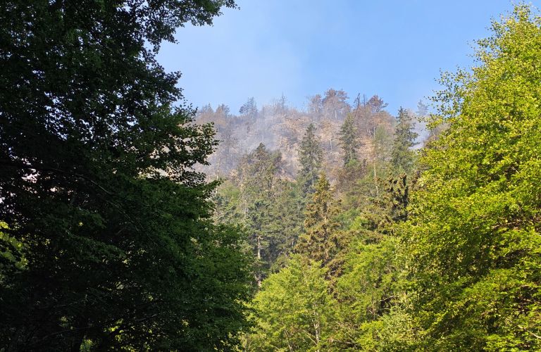 pozar, bovec