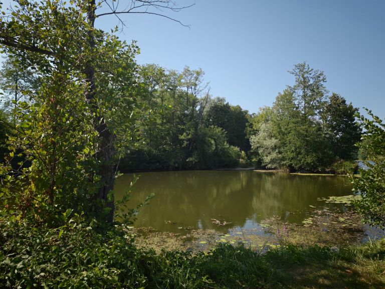 ribnik, hrastje-mota, dolga-jama, jezero
