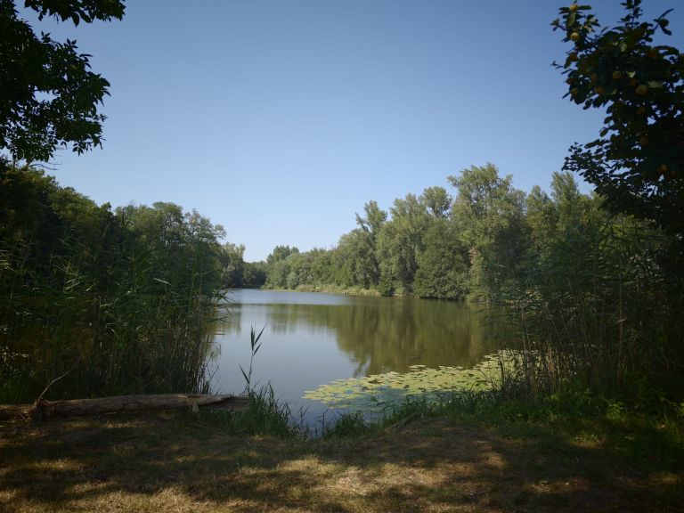 ribnik, hrastje-mota, dolga-jama, jezero
