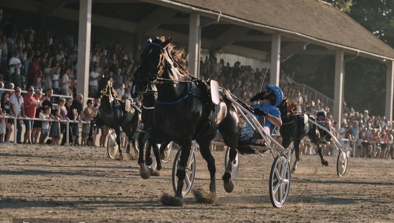 kasaske-dirke, hipodrom-ljutomer, slovenski-kasaski-derbi