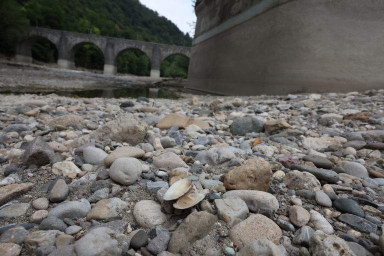 savinja, susa, struga, poletje, poletje-2026
