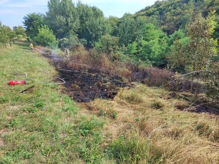 v-kraju-bucerca-gorel-travnik-in-podrast