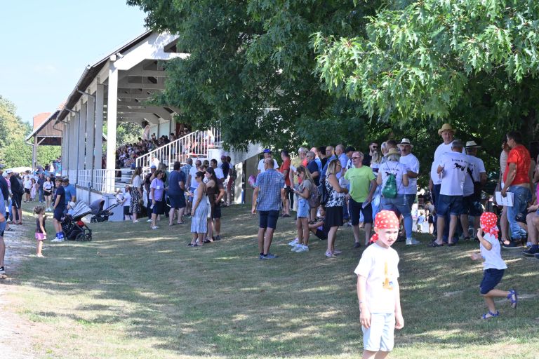 ljutomer, xxxvi-slovenski-kasaški-derby.