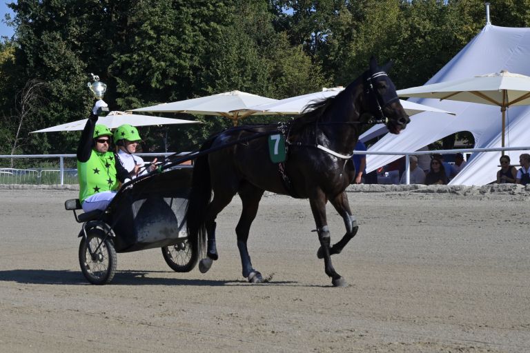ljutomer, xxxvi-slovenski-kasaški-derby.