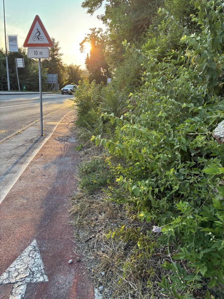 Nevzdrževana kolesarska pot na Ljubljanski cesti