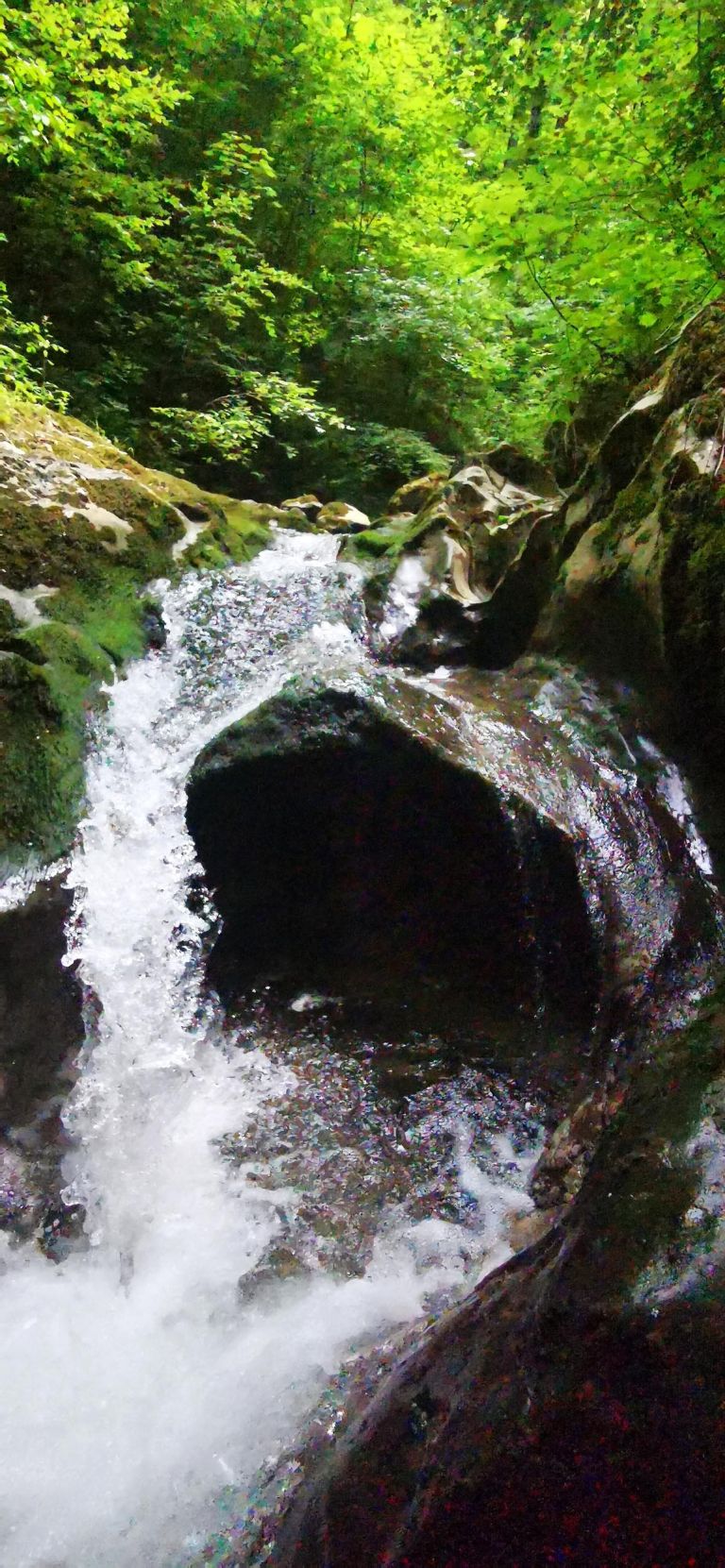 kozjanski-tolmun, romanje