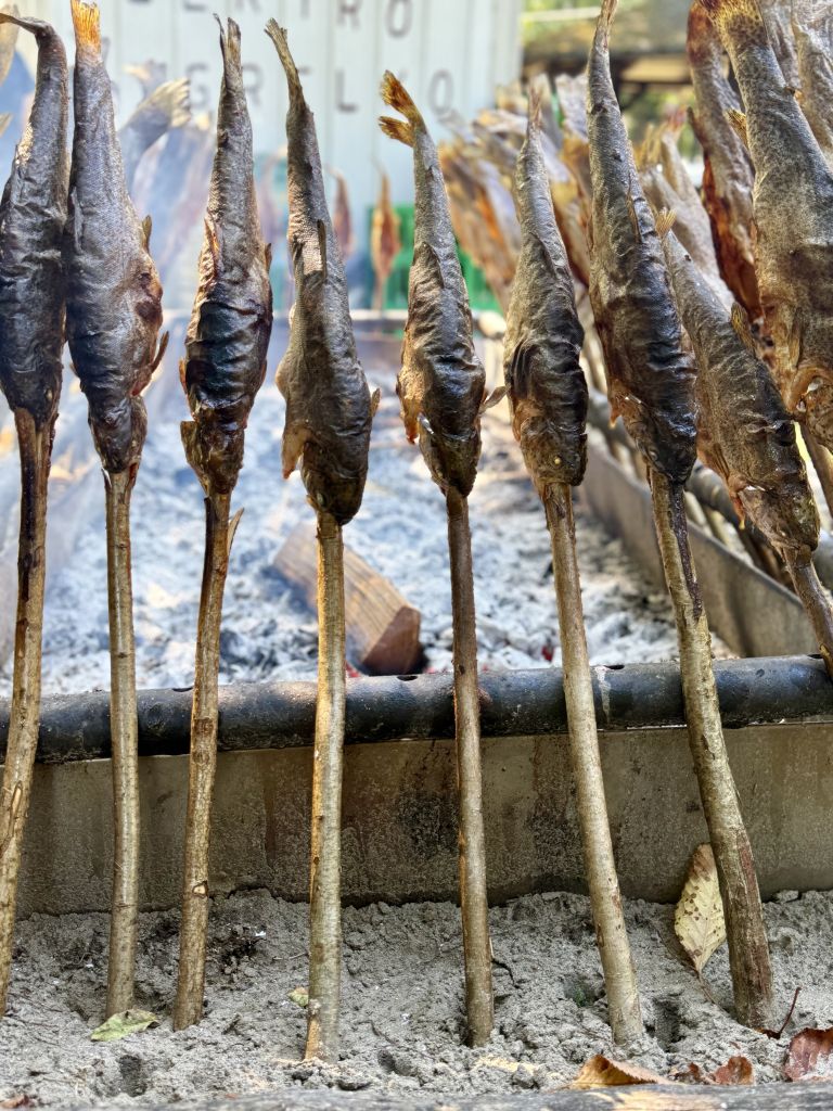 spust-po-muri, spust-po-mlinarski-poti