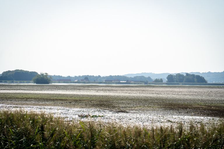 gajševsko-jezero, suša, avgust-2026
