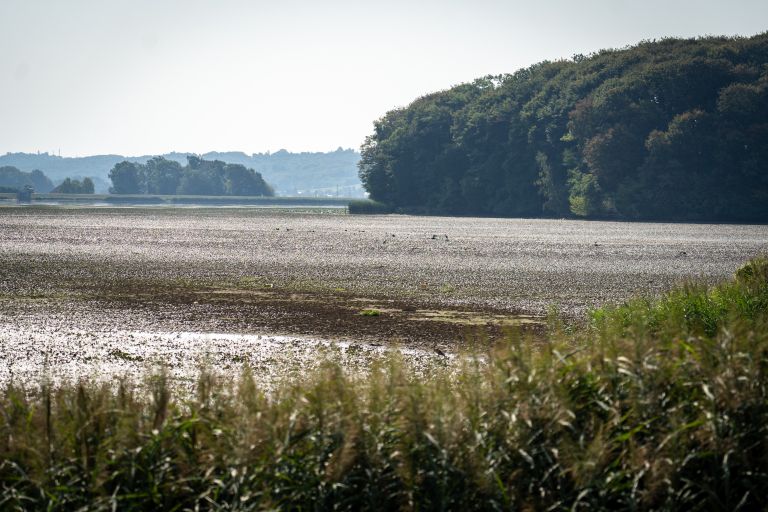 gajševsko-jezero, suša, avgust-2026