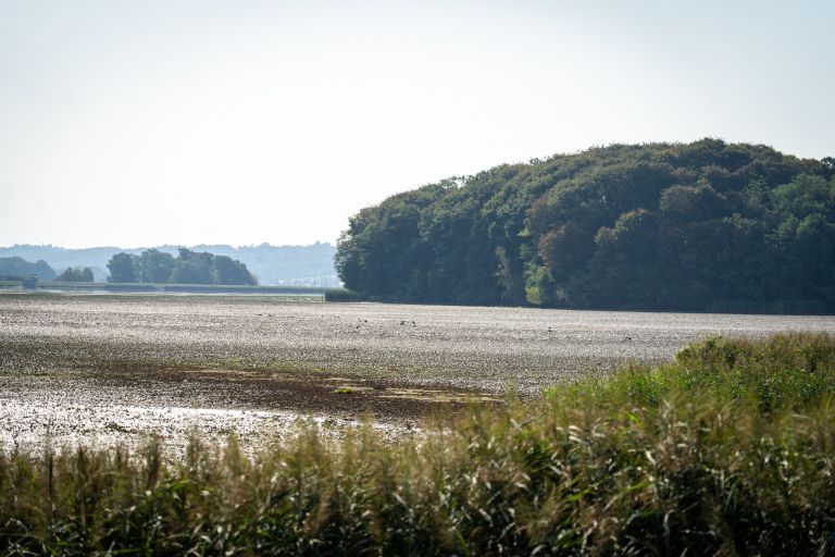 gajševsko-jezero, suša, avgust-2026