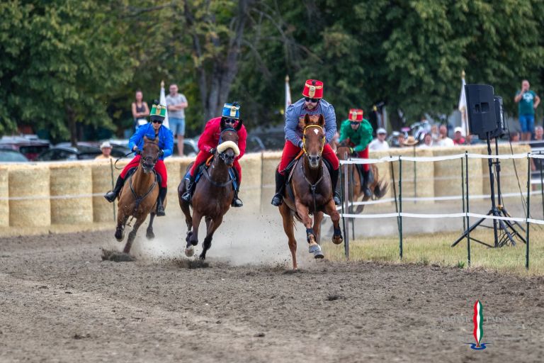pomurski-galop, drustvo-za-zascito-konj