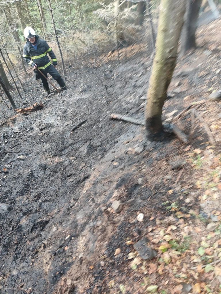 pozar-v-gozdu, dobrova